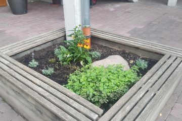 Bepflanzung Innenhof Kita Elsässer Platz Wiesbaden Bunter Rabe