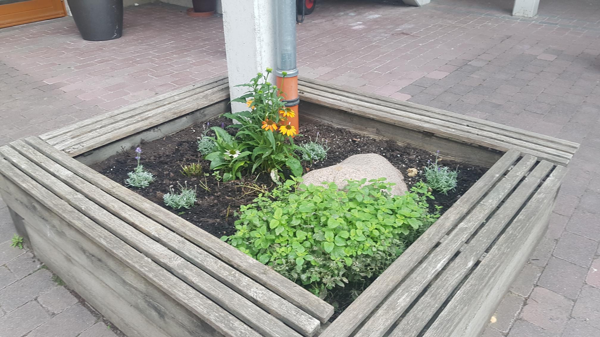 Bepflanzung Innenhof Kita Elsässer Platz Wiesbaden Bunter Rabe
