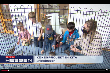 RTL Hessen Fernsehbeitrag Kükenprojekt Kita Wiesbaden Elsässer Platz