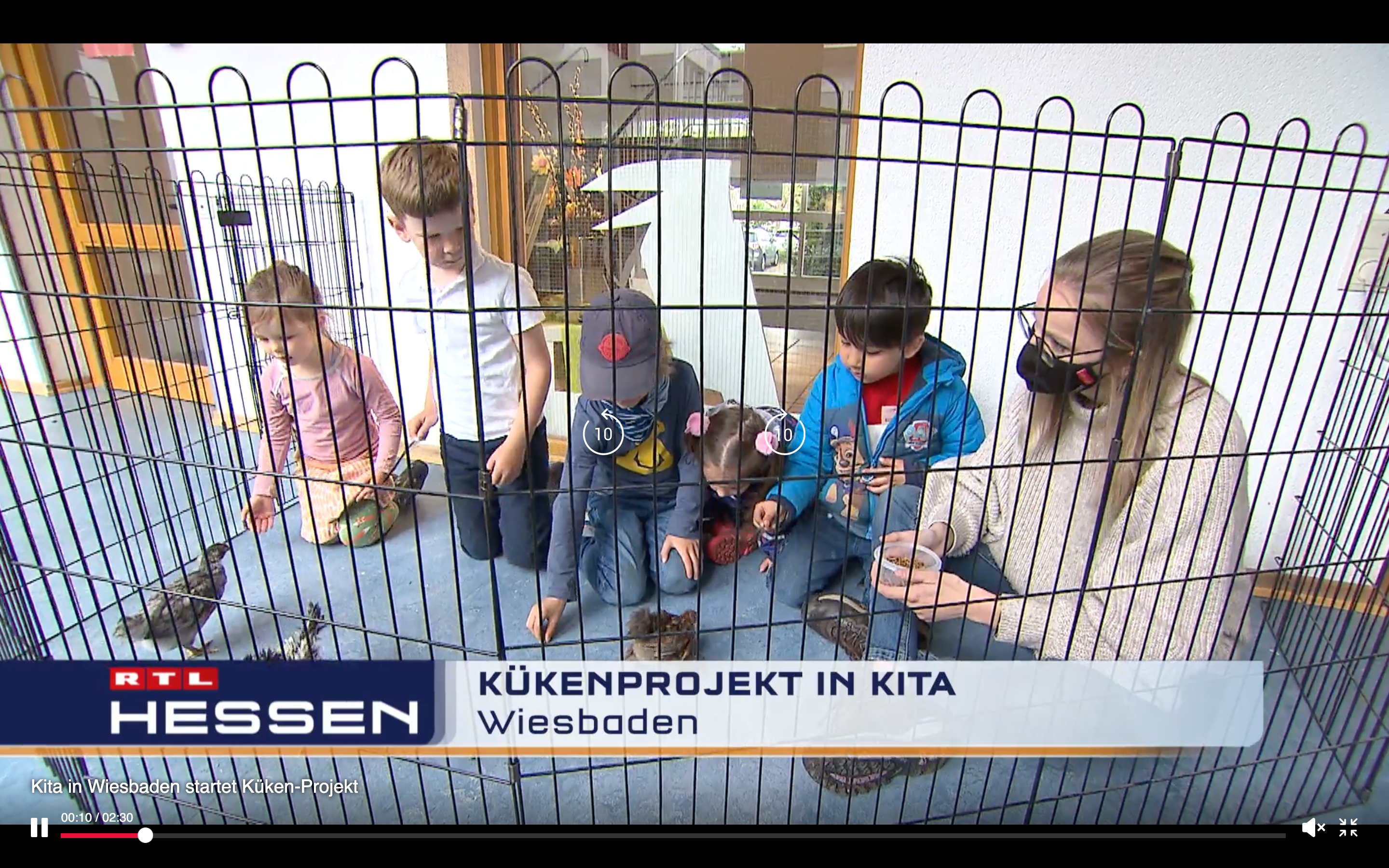 RTL Hessen Fernsehbeitrag Kükenprojekt Kita Wiesbaden Elsässer Platz